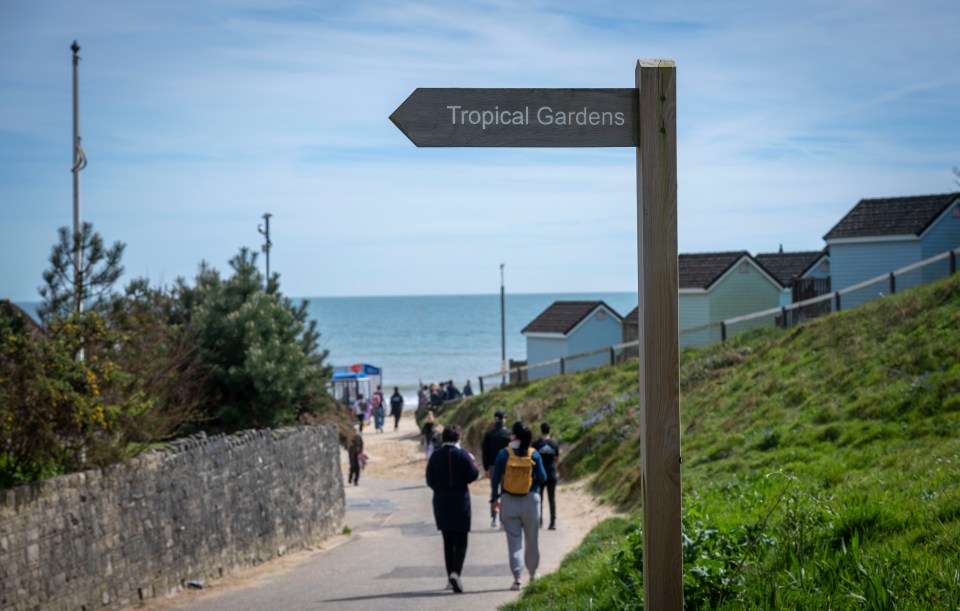 Alum Chine Tropical Garden, to the west of the town,  leads you via a winding path from the cliff top down to Alum Chine Beach