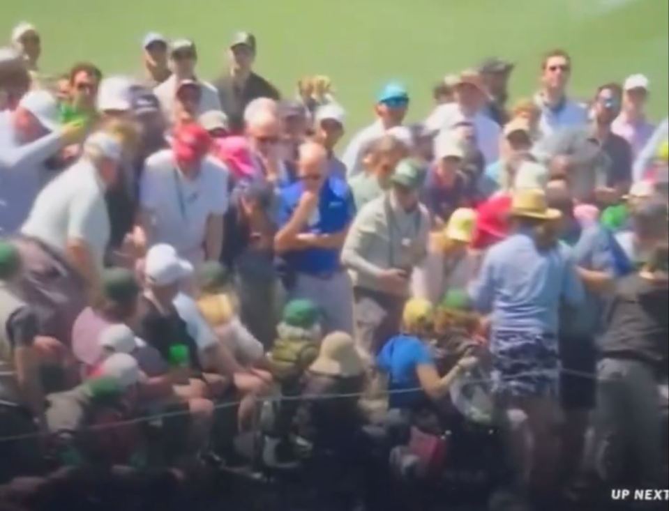 A fan appeared to be hit in the head by Tiger Woods' wayward shot