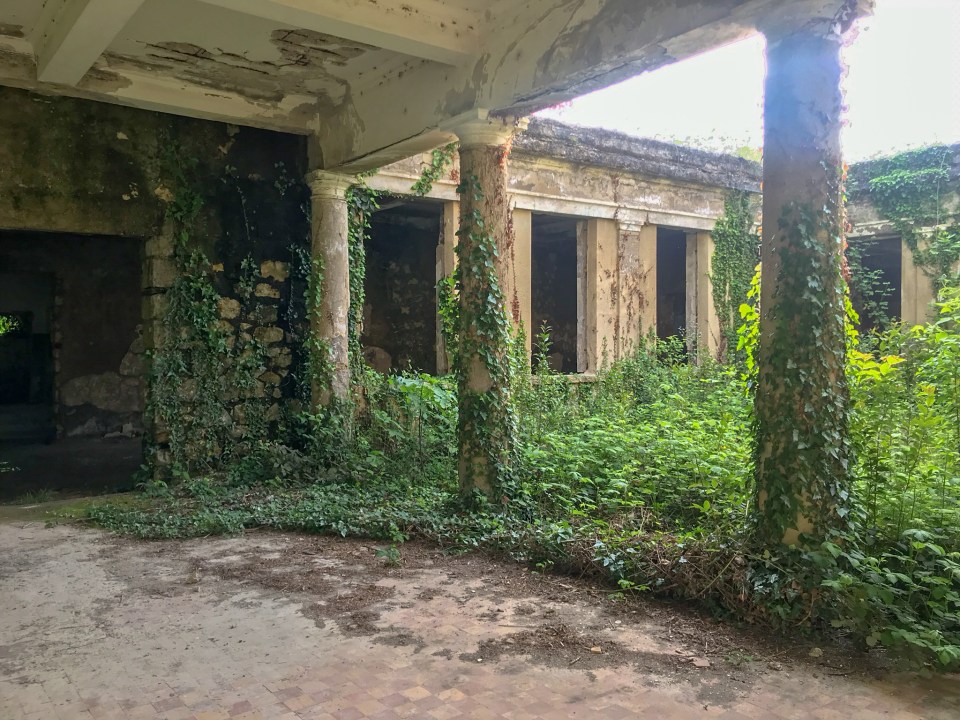 Vines and plants are now engulfing the once glorious buildings