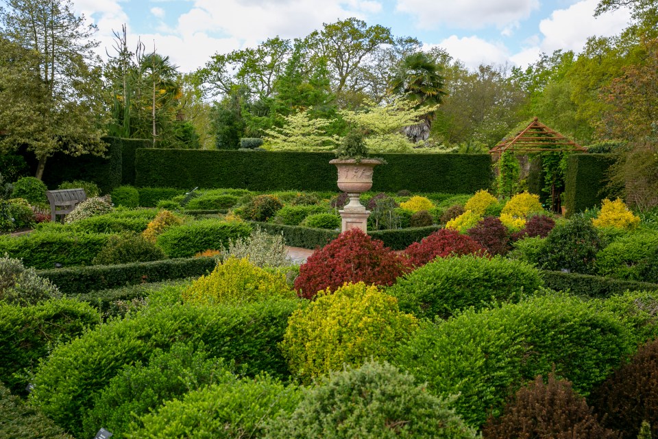 RHS Wisley's walled garden full of Buxus alternatives