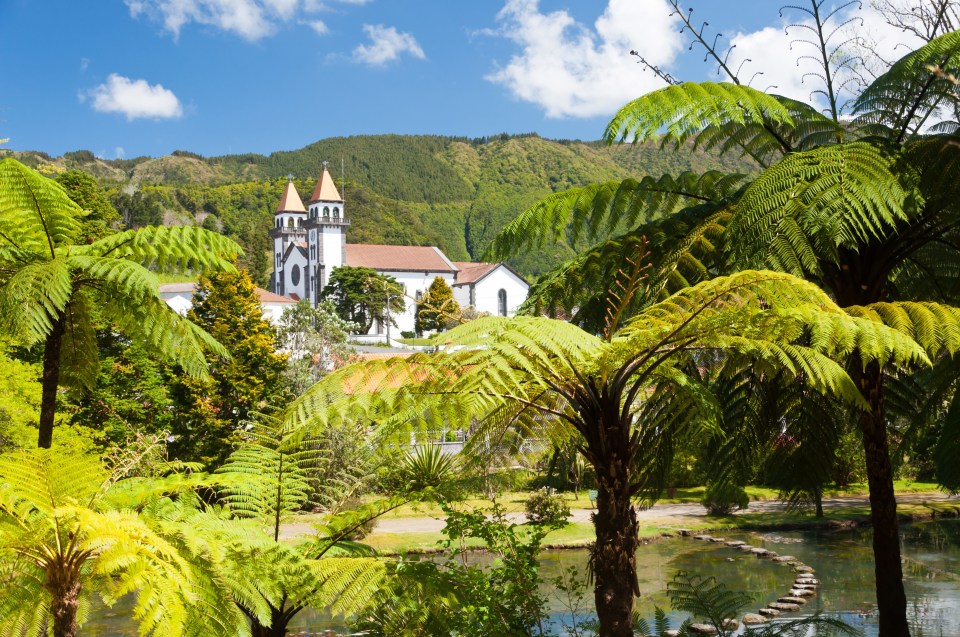 A view of a local church through the palm trees in Ponta Delgada