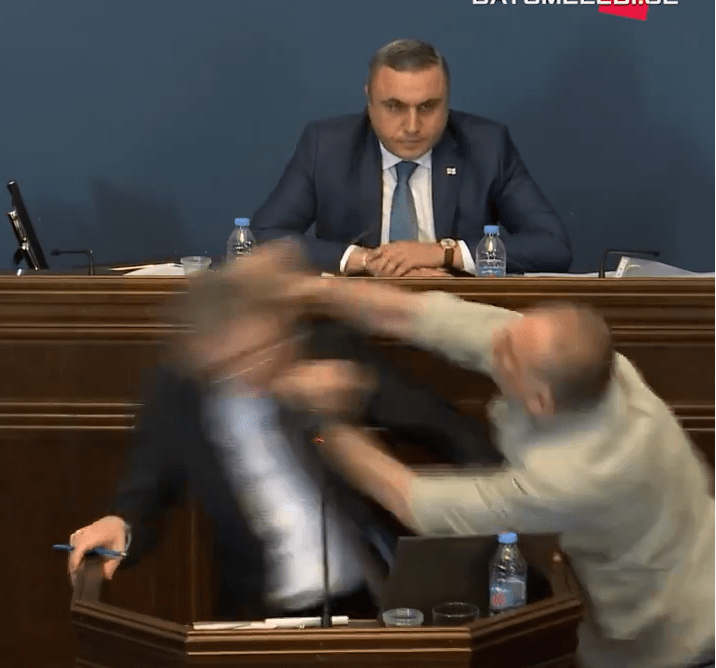 Leader of the opposition Aleko Elisashvili launched himself fist-first at his unsuspecting target