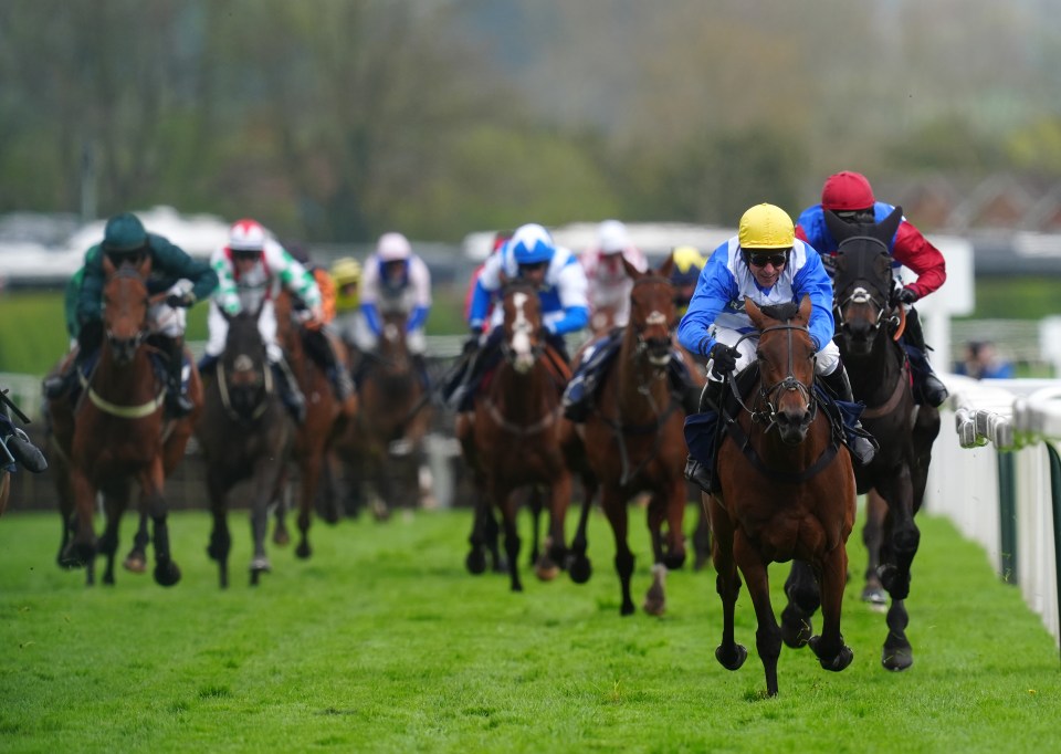 The Novices' Hurdle has concluded at Aintree