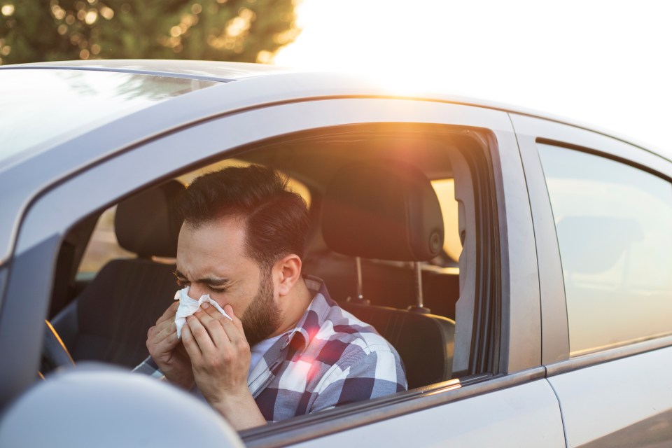 Drivers have been warned that hay fever could land them with a £1,000 fine