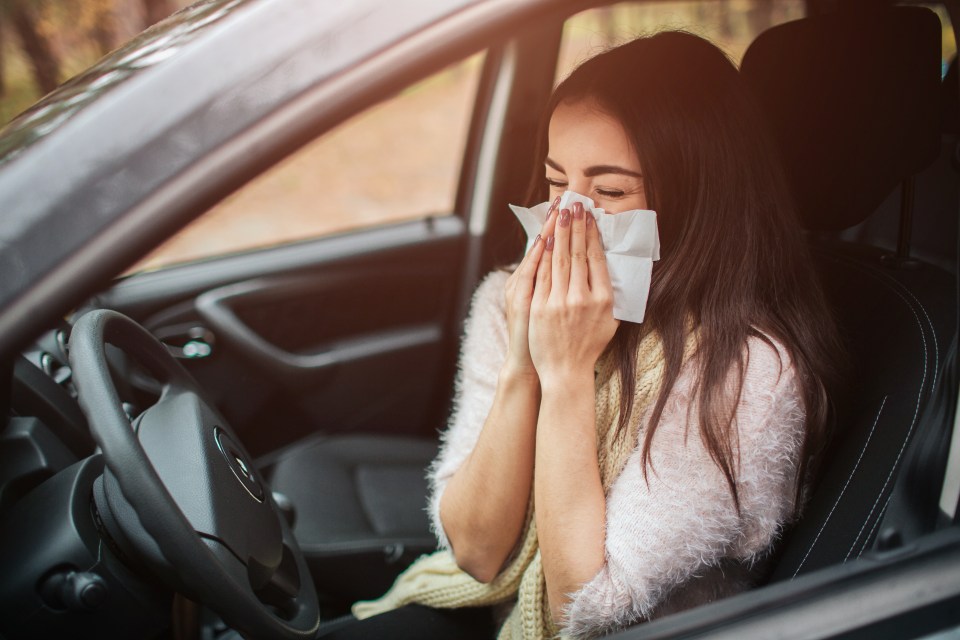 Scientists may be able to cure allergies one day by deleting the immune cells that cause them, research suggests