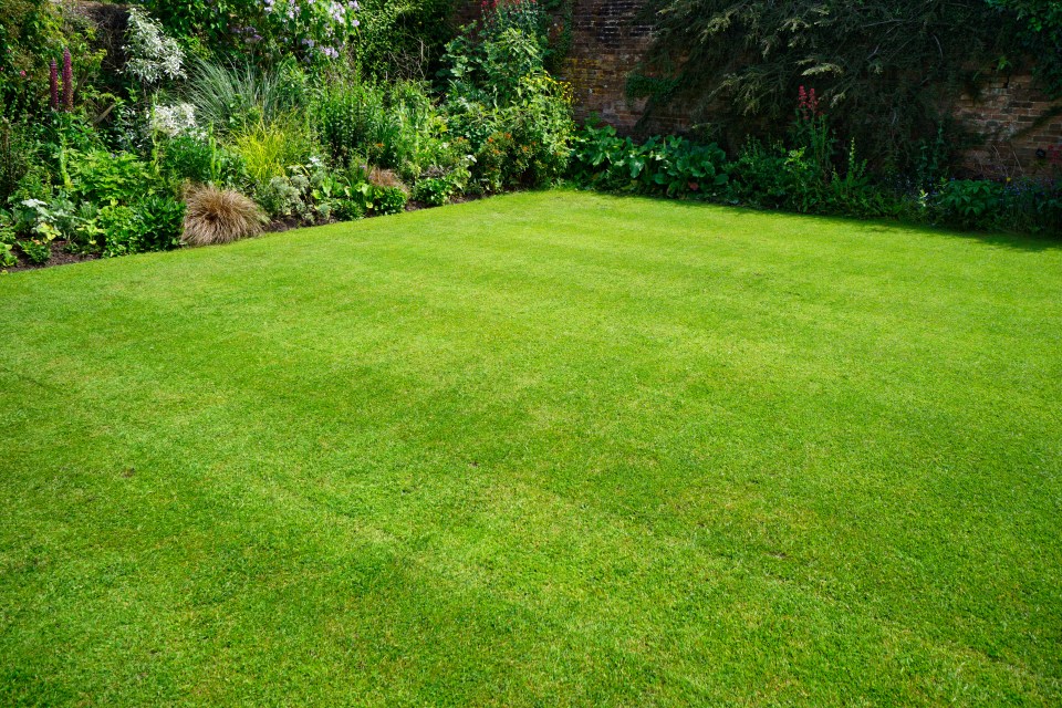 a lush english garden in summer