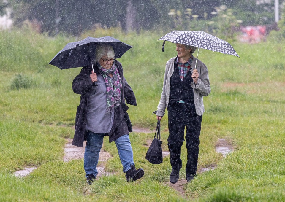 Walkers brave the rain on Wimbledon Common this afternoon