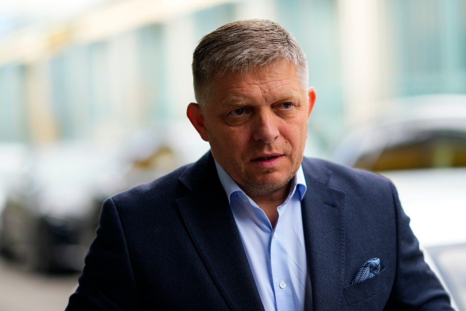 Slovakian PM Robert Fico, 59, was gunned down in a brazen assassination attempt on Wednesday