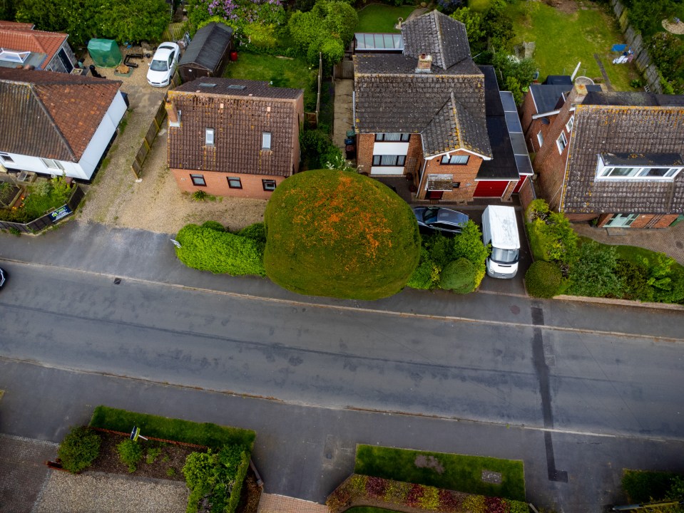 Peter, who owns the land the tree sits on, said it ‘has become part of the local landscape’