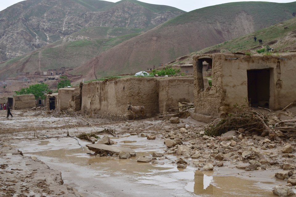 A donkey stands amid debris next to damaged houses along a mud-covered road