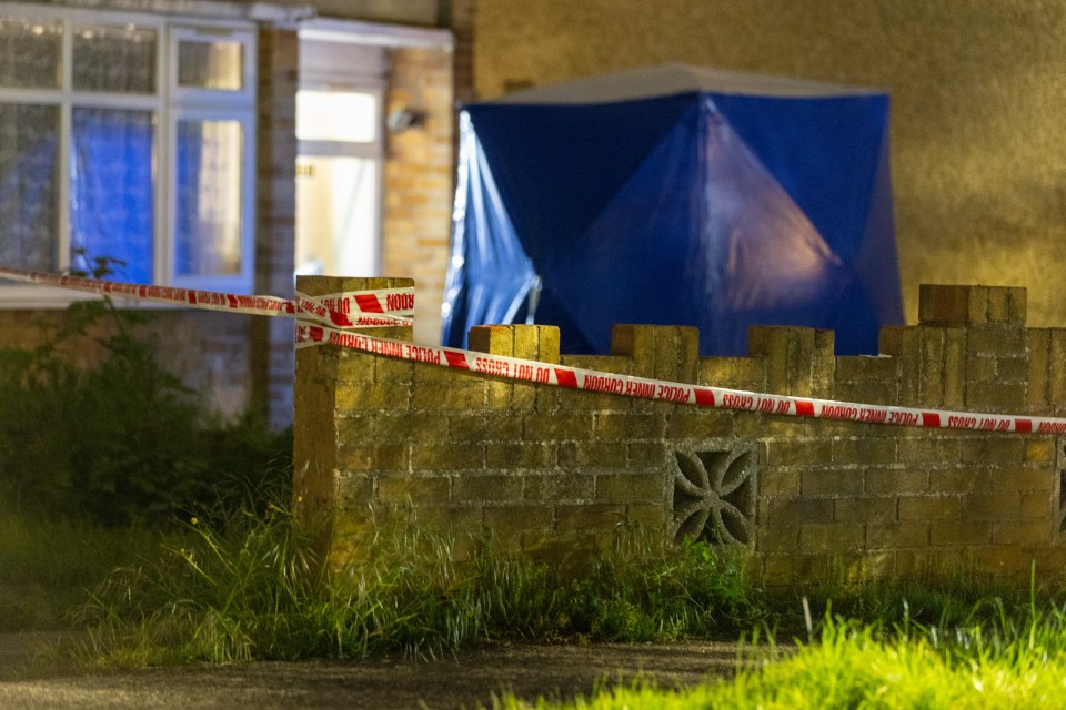 A blue forensics tent was at the scene last night