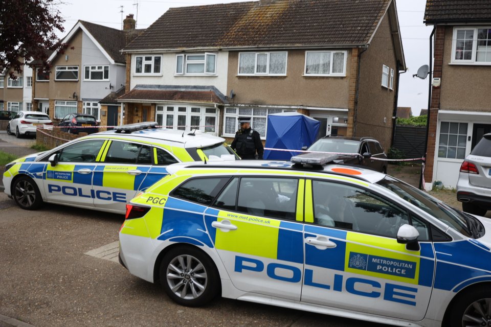 Cops armed with riot shields stormed the property last night