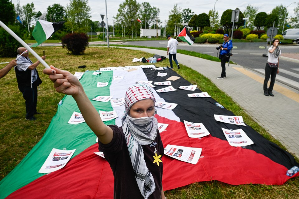 Pro-Palestine protesters held Palestinian flags and banners as thousands of Jews marched to remember Holocaust victims