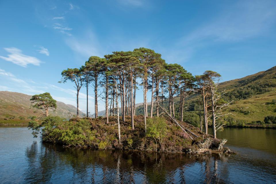 Eilean Na Moine is a very small island in the middle of a loch in Scotland