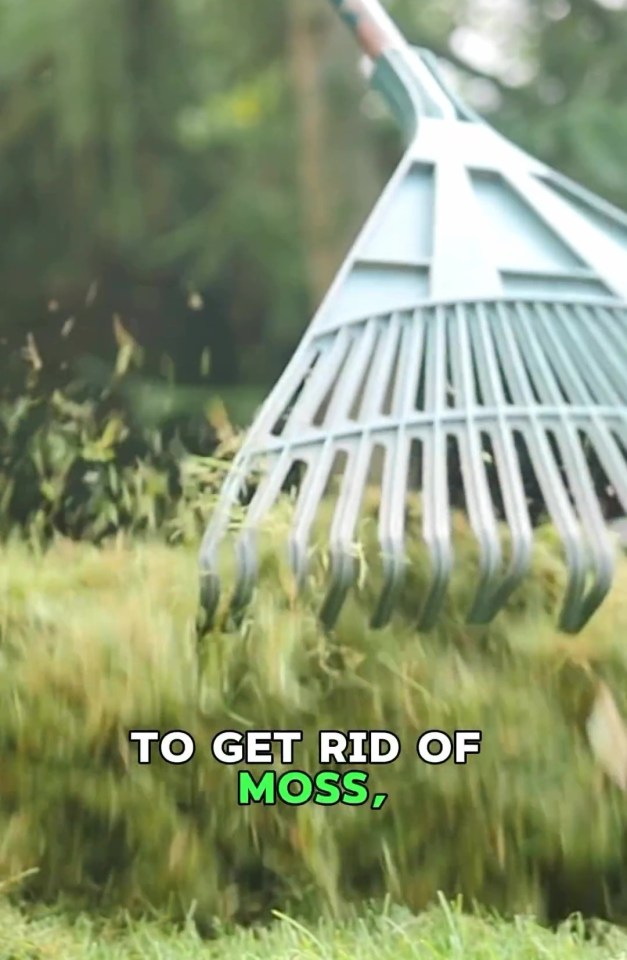 One of the first steps to get rid off moss is using a spring rake.