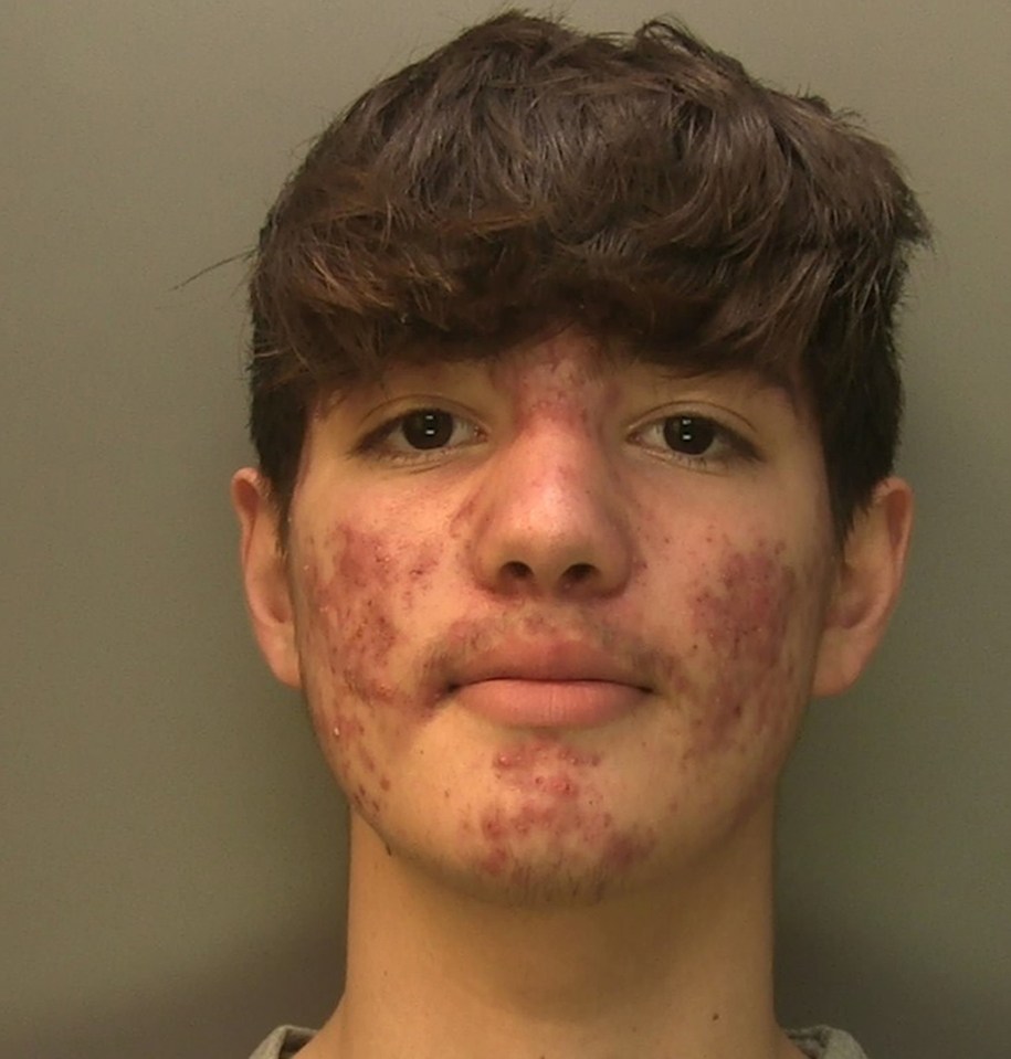 The teenage hired killer has been jailed for life