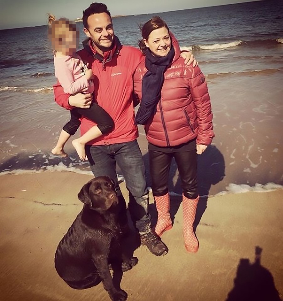 Ant McPartlin and Lisa Armstrong could not agree what to do with chocolate Labrador Hurley when they divorced in 2018