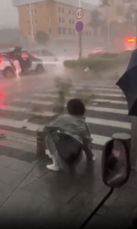 A storm battered the Chinese capital as pedestrians were swept off their feet by the gales