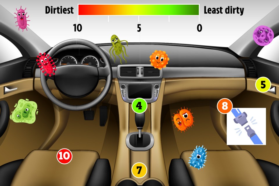 New research has unveiled the worst car parts for bacterial growth