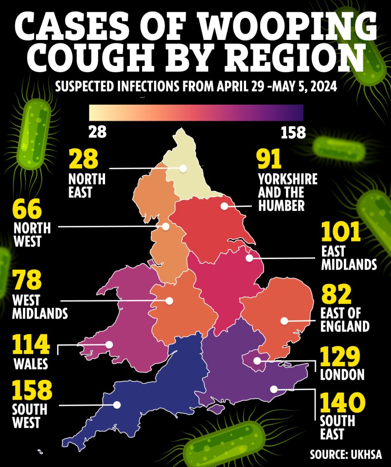 Map reveals areas worst affected by whooping cough, according to suspected infection figures