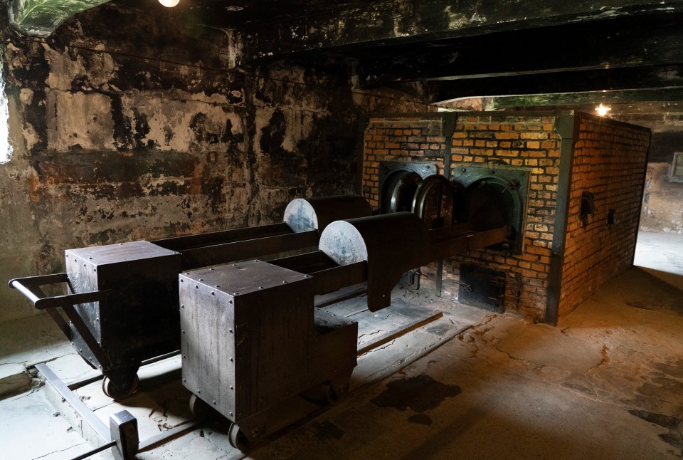 Ovens used to cremate bodie in Auschwitz