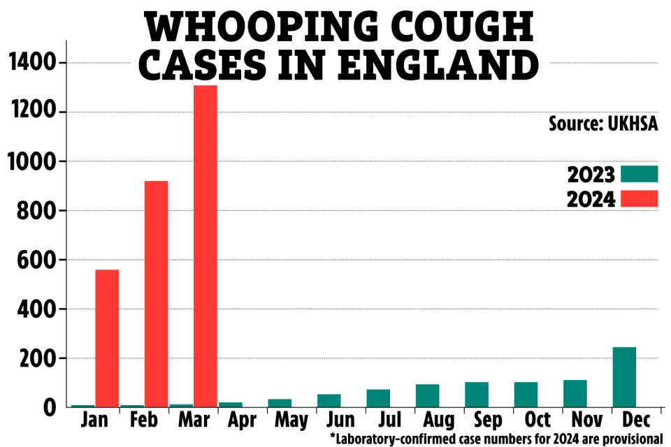 Cases are significantly higher than the whole of 2023