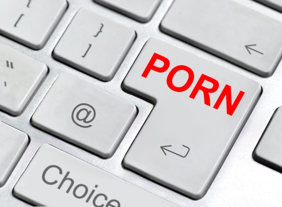 A surprising amount of people use the library to publicly watch porn