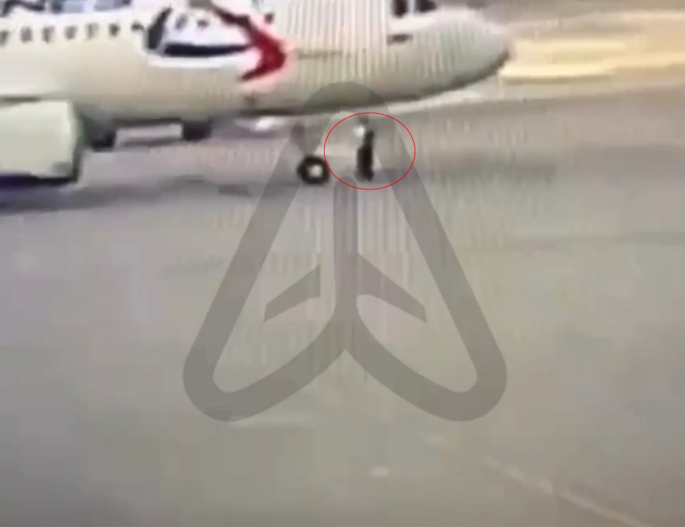 The shocking moment the airport worker was run over by a plane