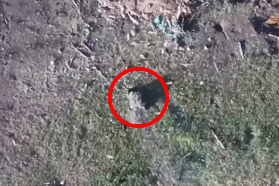 In video footage The Scorpion was seen easily picking its way through the difficult terrain of no-man's land