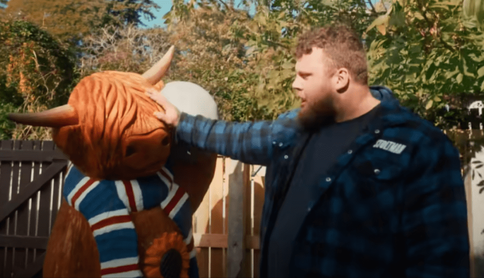 A Highland cow statue is seen wearing a Rangers scarf