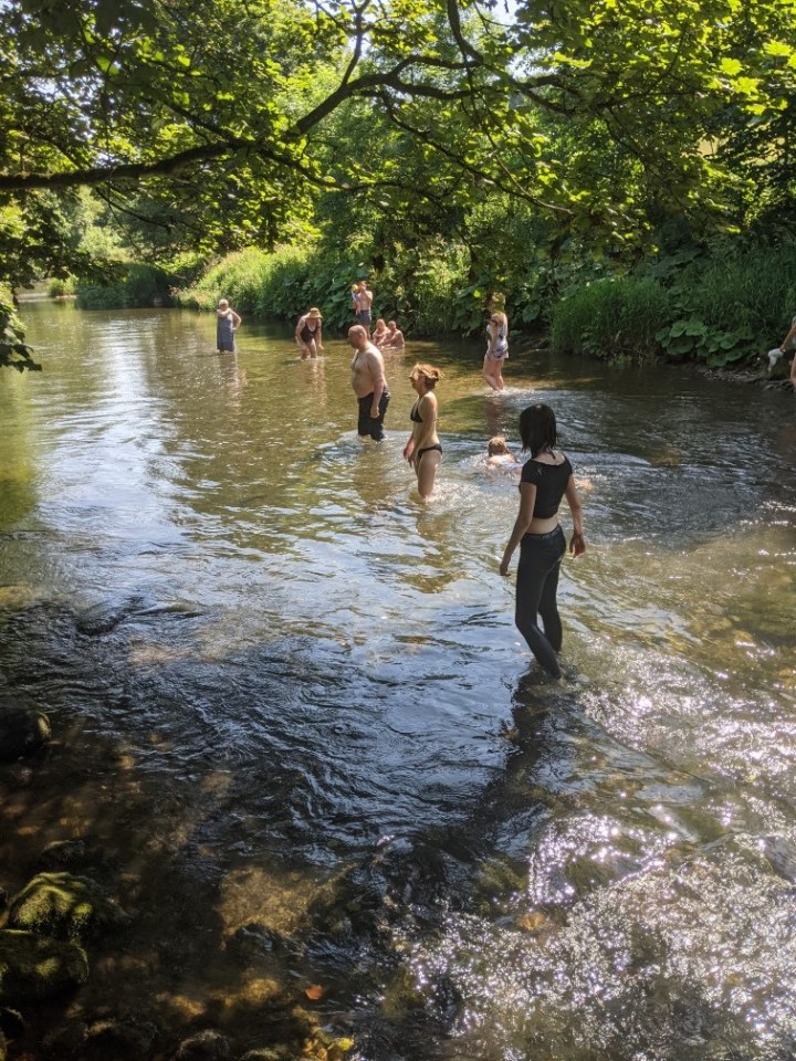 Alder Carr Farm was praised for its wild swimming and access to wildlife