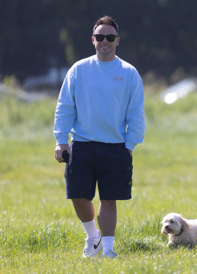 Ant was seen beaming as he took his dogs for a walk