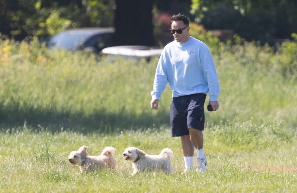 The BGT host kept a watchful eye on his pet pooches