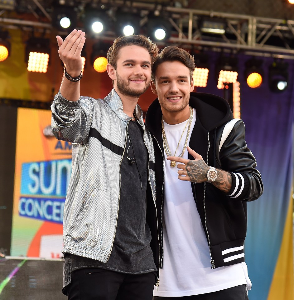 Zedd has worked with One Direction's Liam Payne