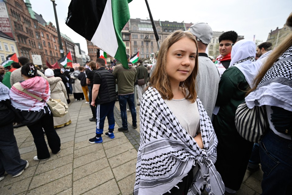 Thunberg refused to comment on why she joined the protest