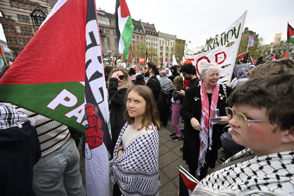 Swedish climate activist Greta Thunberg was in attendance for the demonstrations