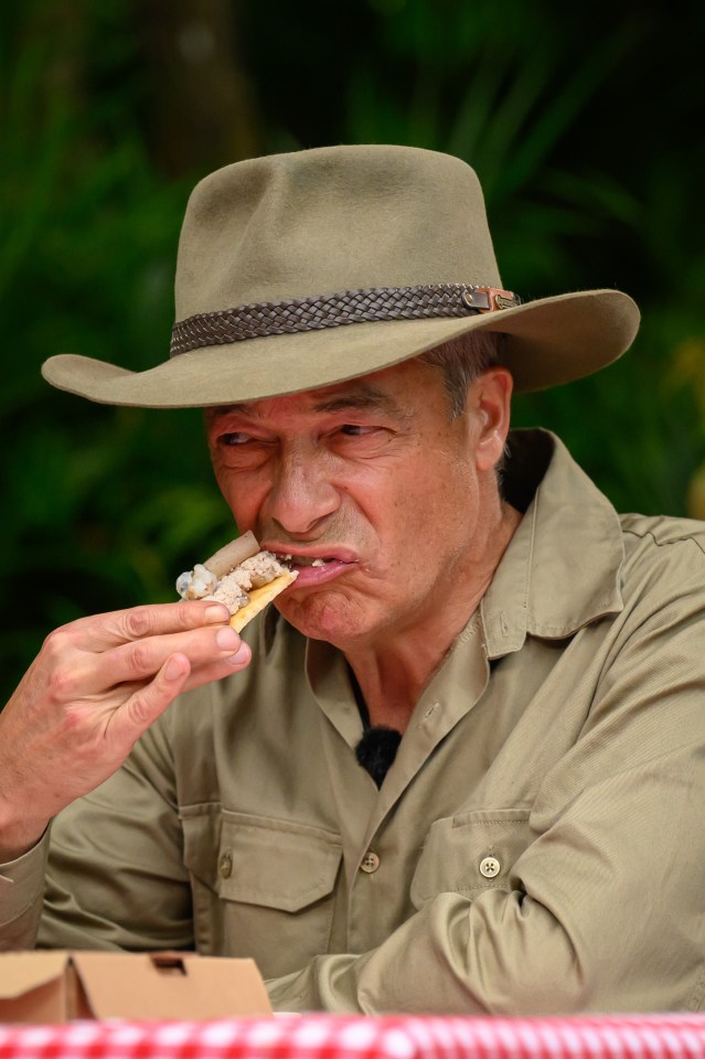 Outspoken Nigel Farage on I'm A Celebrity