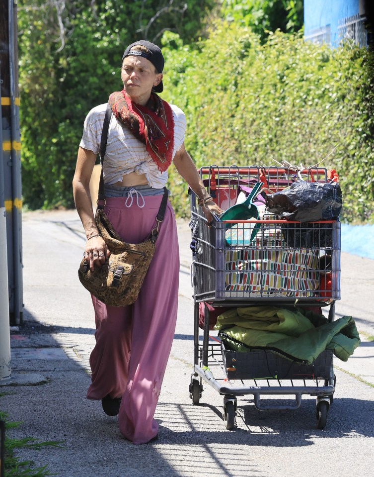 Loni was seen pushing a trolley through the streets of LA