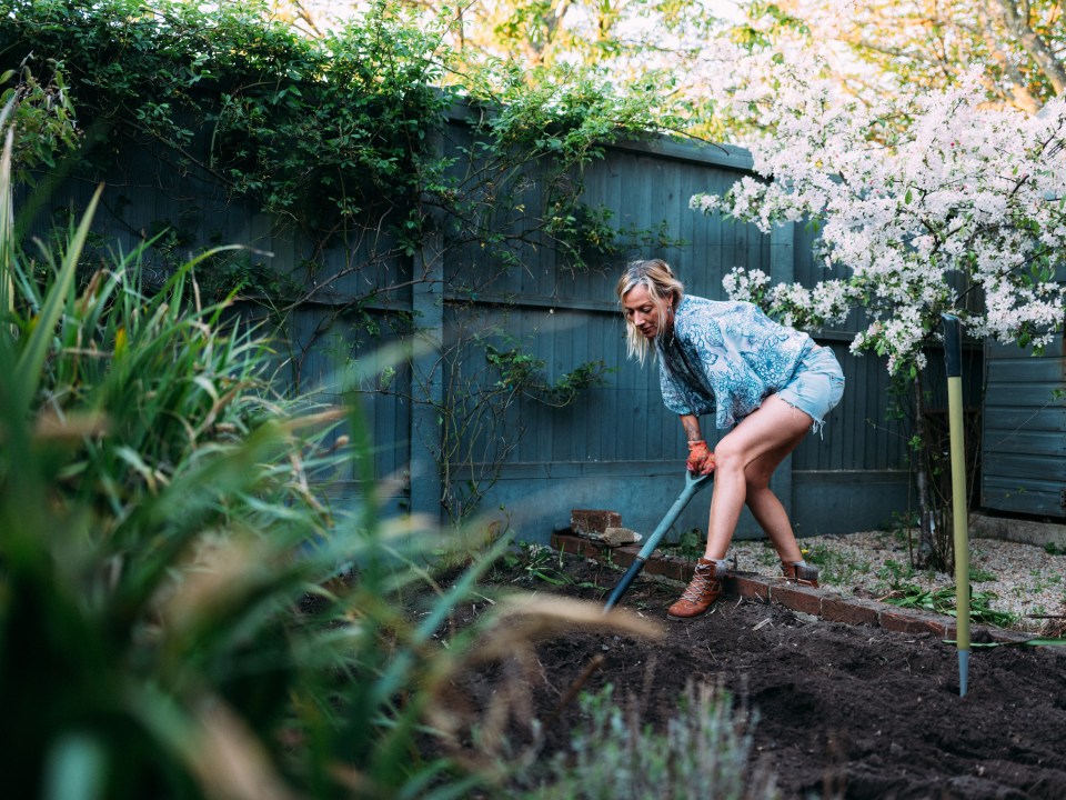 Six budget tricks to get your garden growing like the Chelsea Flower Show