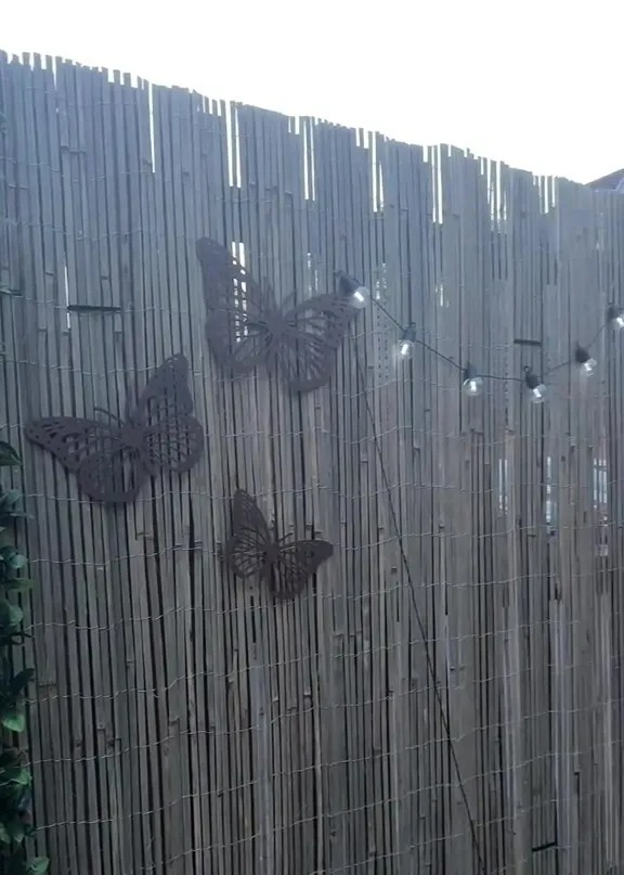 The savvy mum also hung several butterfly ornaments onto her fence