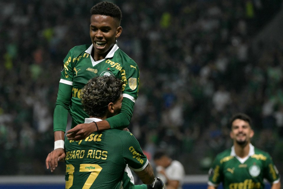 Willian has made 12 appearances for Palmeiras