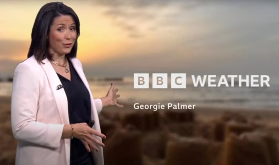 The 49-year-old is a BBC Weather presenter