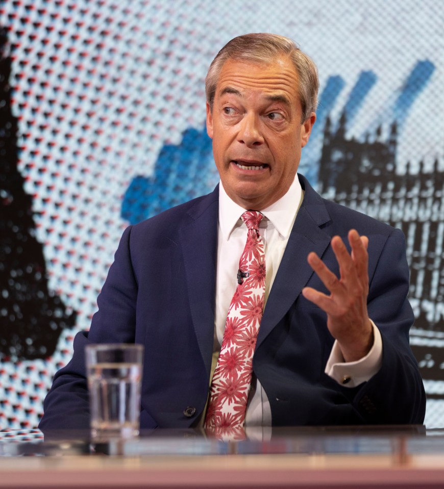 Farage slammed the Tories' record on stopping illegal immigration He was grilled by The Sun's Political Editor Harry Cole