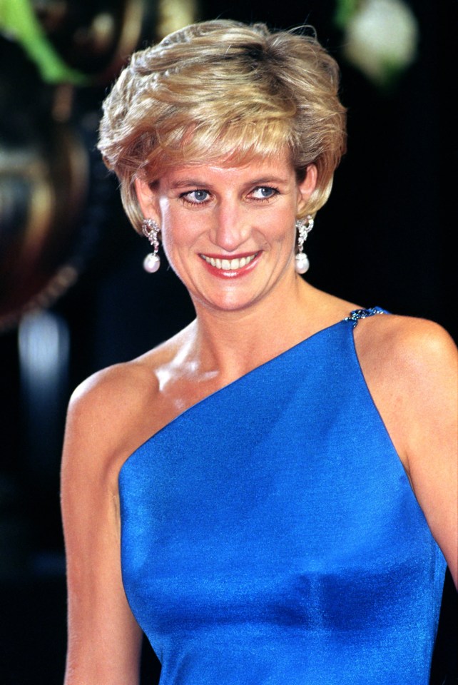 Princess Di's brother 'said he would look out for William and Harry in her place'