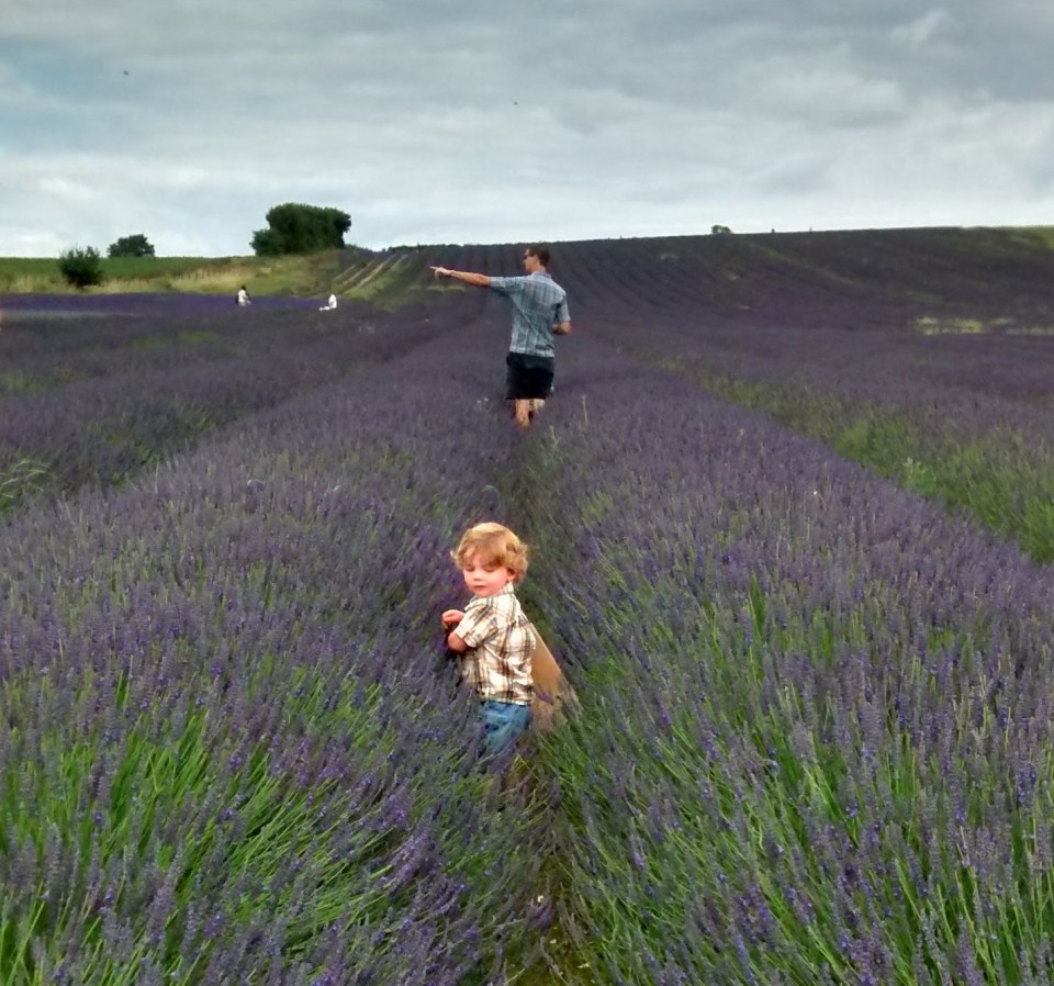 Make sure to visit the nearby lavender fields