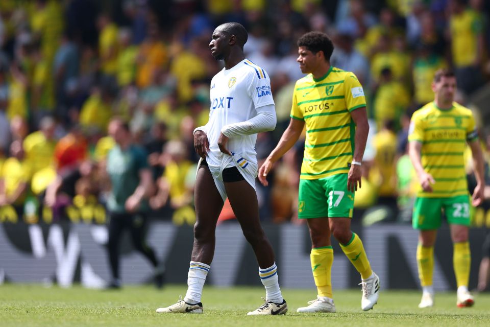 Leeds had a goal controversially disallowed against Norwich