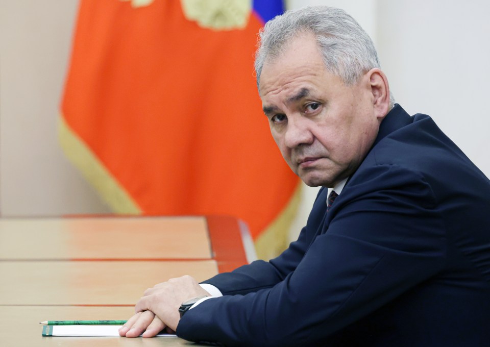 The arrests all started after long-term Defence Minister Sergei Shoigu was sacked by Putin