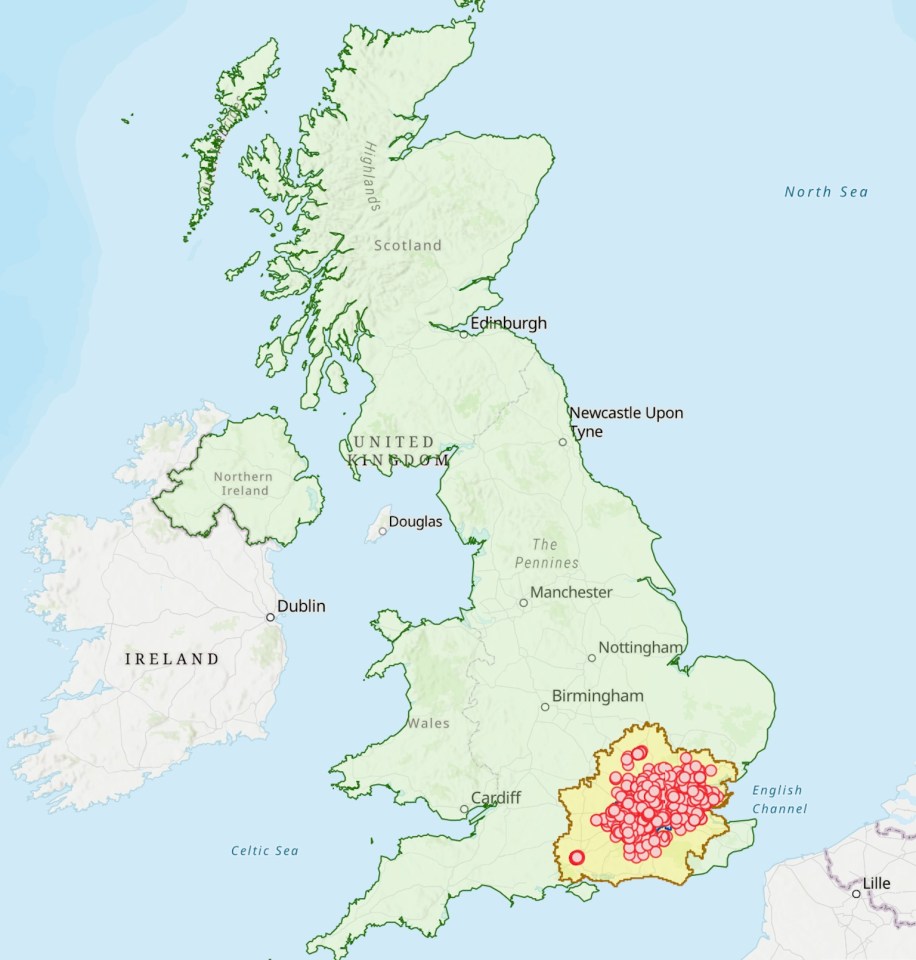 Where the critters can be found in the UK