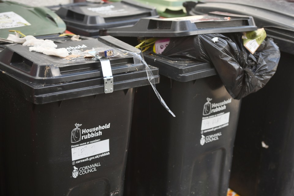 Some people have even padlocked their bins to stop other people putting waste into them