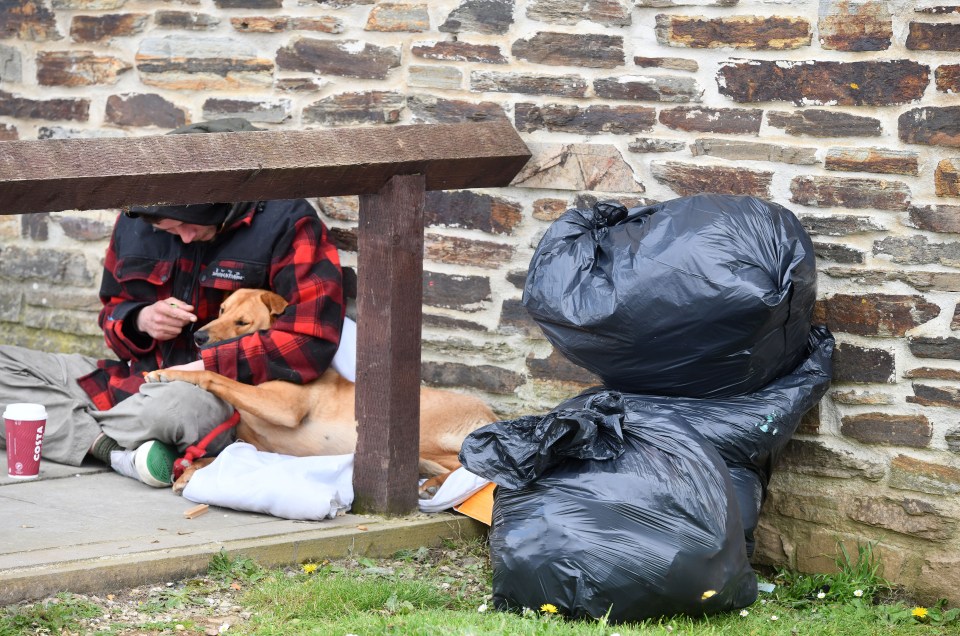 Bin bags are being dumped wherever there is space for them